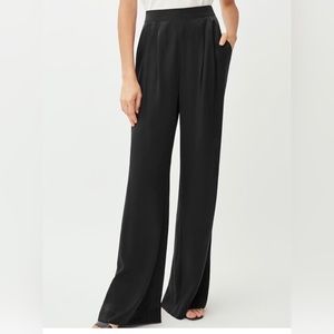 Cuyana washable charmeuse silk wide leg pant, size M